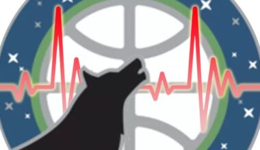 Timberwolves Survey: Canis Pulsus Vol. 42 - Memories Edition (2024-25 Season)