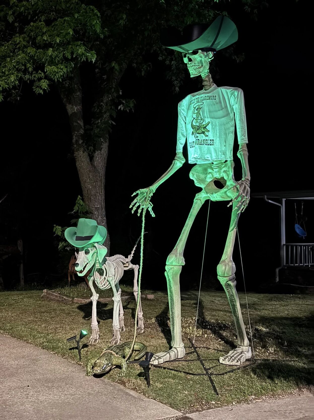 Gator Wrangler Skully