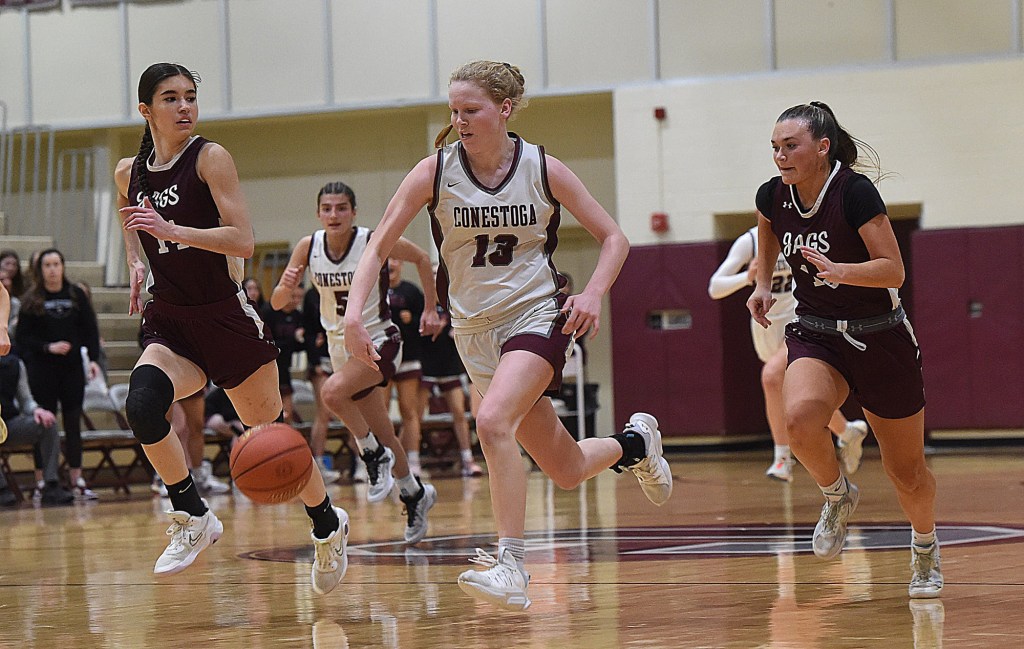 DLN Girls Basketball All-Area team – Daily Local