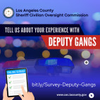Residents Urged to Share Experiences with Deputy Gangs, Give Feedback