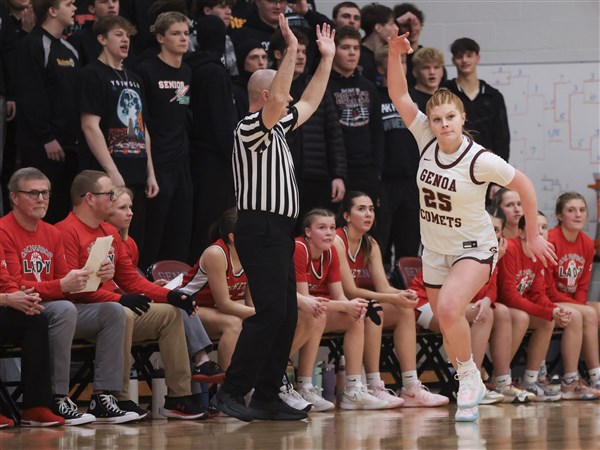 Which area girls basketball teams will change divisions for 2025-26?