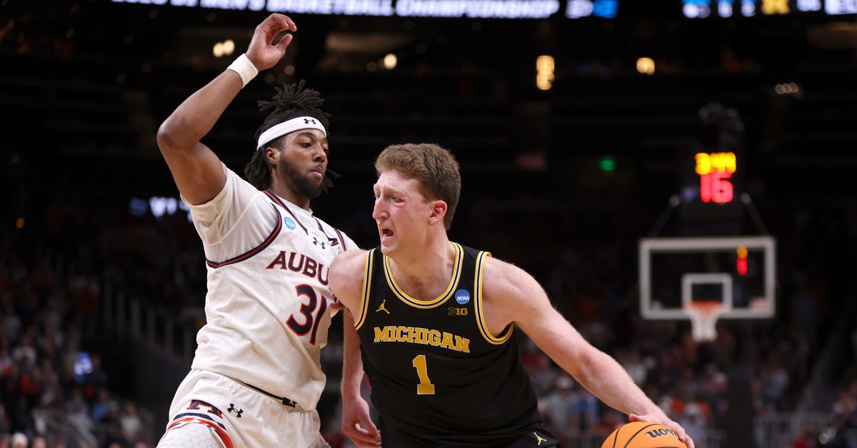 2025 NBA Draft Profile: Michigan Basketball F/C Danny Wolf