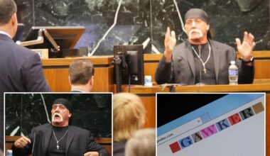 Hulk Hogan's $140M legal bodyslam of Gawker cheered after wrestler's death
