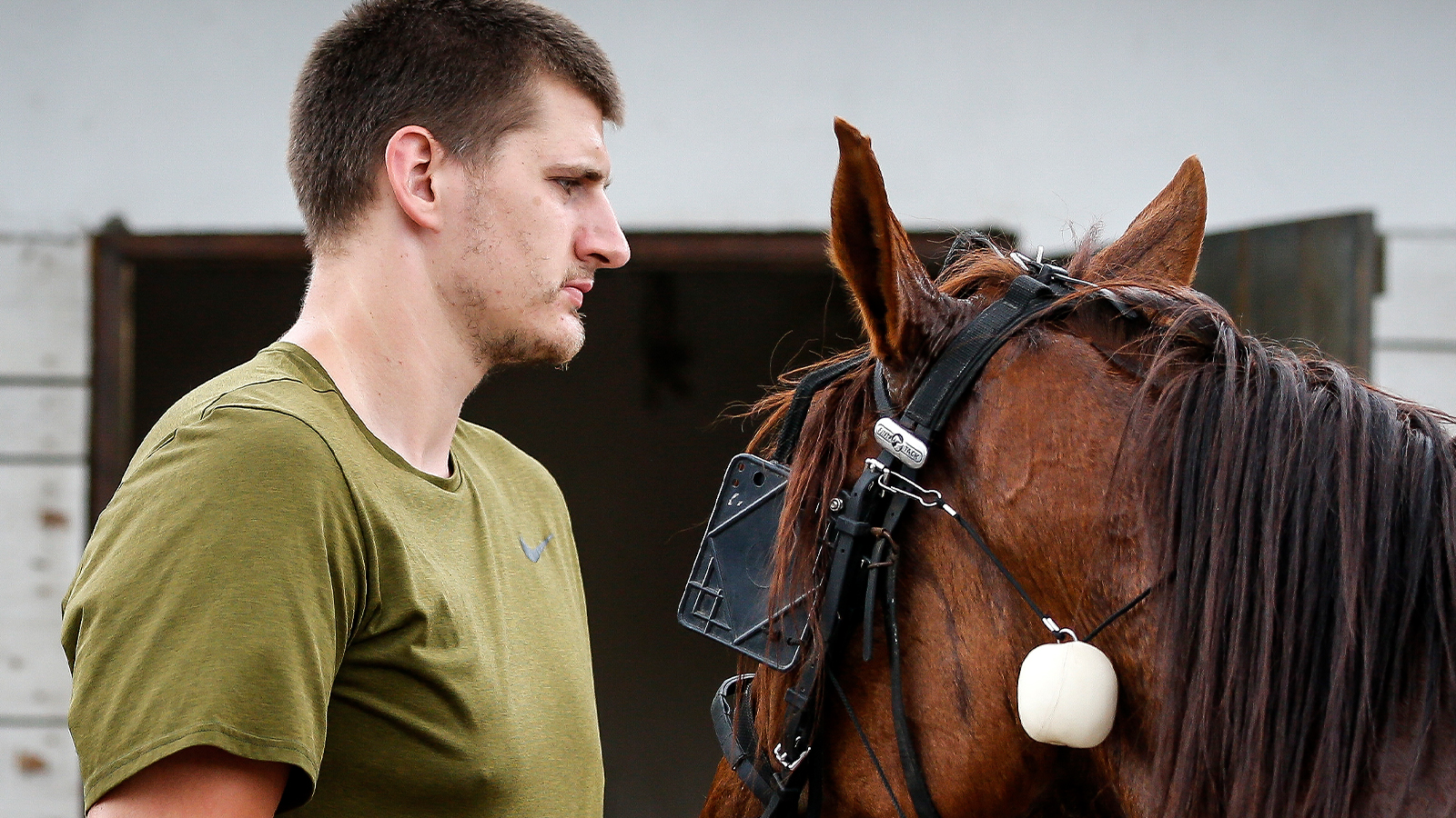 Nikola Jokic with a horse