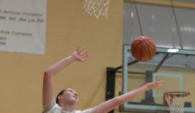 Basketball star Boyle lands with Stonehill | Sports