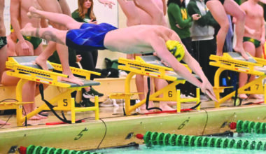 Wildcat coaches moving in, up: NMU swimming, diving makes promotion, hiring | News, Sports, Jobs