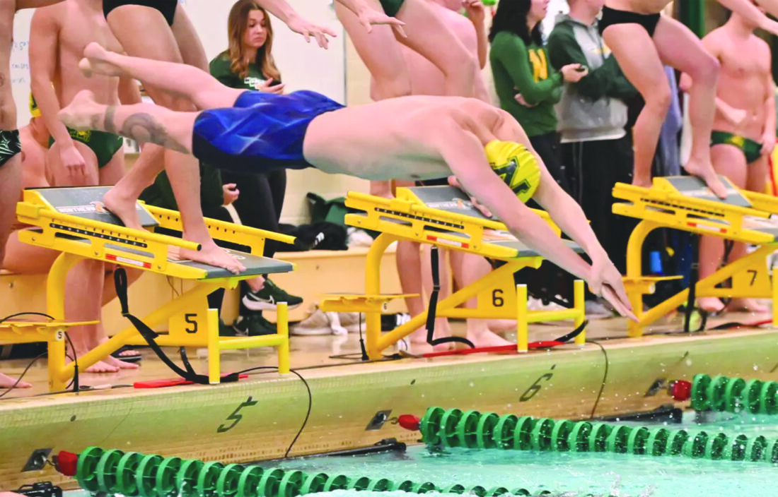 Wildcat coaches moving in, up: NMU swimming, diving makes promotion, hiring | News, Sports, Jobs