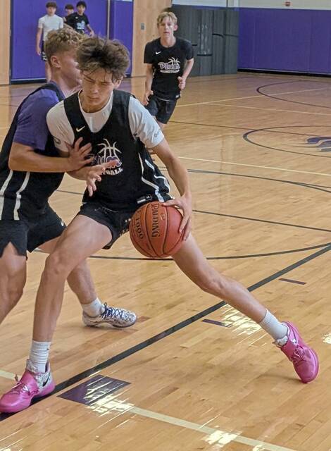 8691725_web1_pal-PlumBBB-072425 8691725_web1_pal-PlumBBB-072425