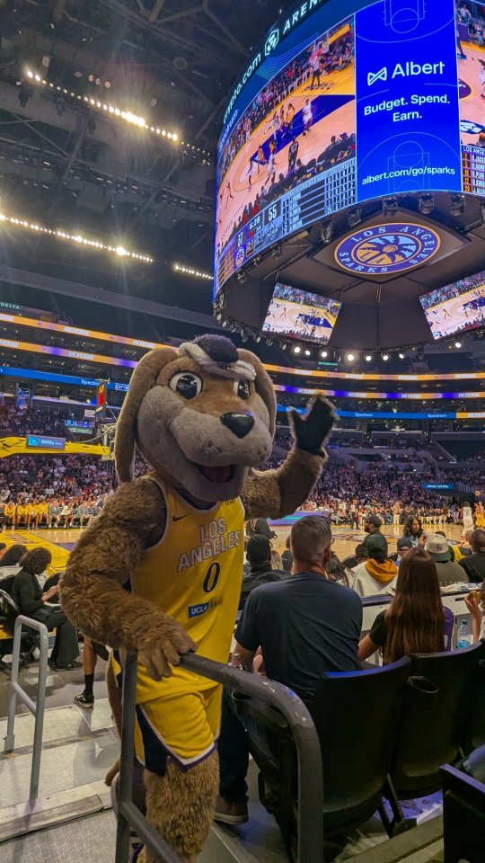 Sparky was later seen sporting a bandage on his head