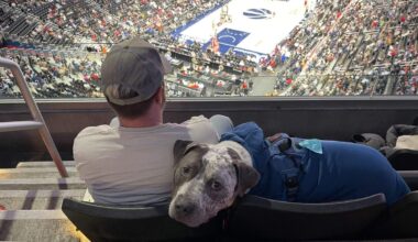An NBA team allowed 140 dogs to attend its game and lived to tell the tail
