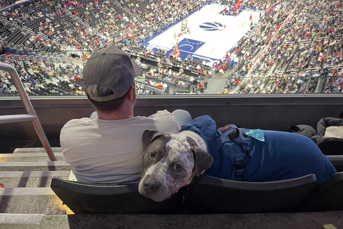 An NBA team allowed 140 dogs to attend its game and lived to tell the tail