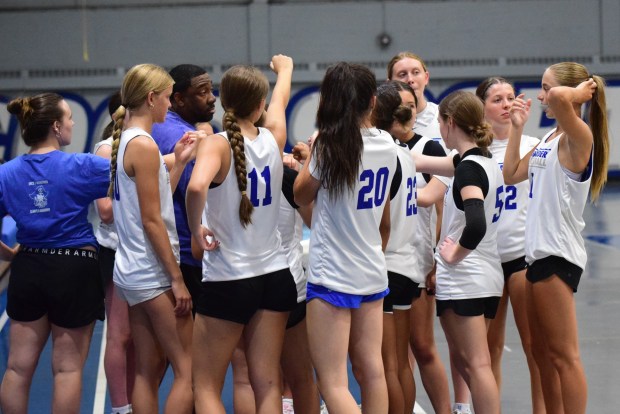The girls' basketball teams from Allen Park Cabrini and Gibraltar...