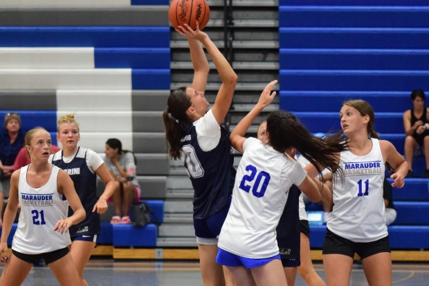 The girls' basketball teams from Allen Park Cabrini and Gibraltar...