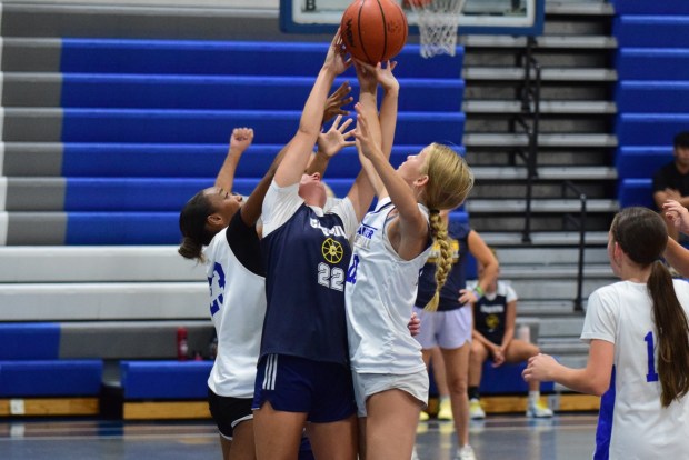 The girls' basketball teams from Allen Park Cabrini and Gibraltar...