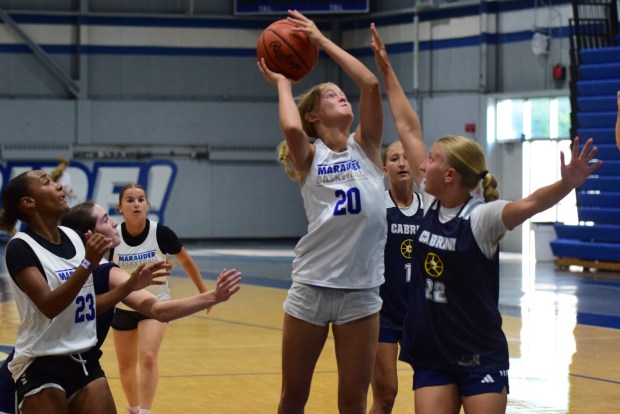 The girls' basketball teams from Allen Park Cabrini and Gibraltar...