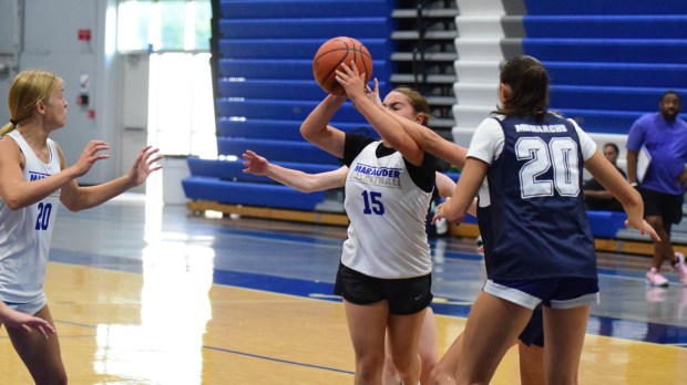 The girls' basketball teams from Allen Park Cabrini and Gibraltar...