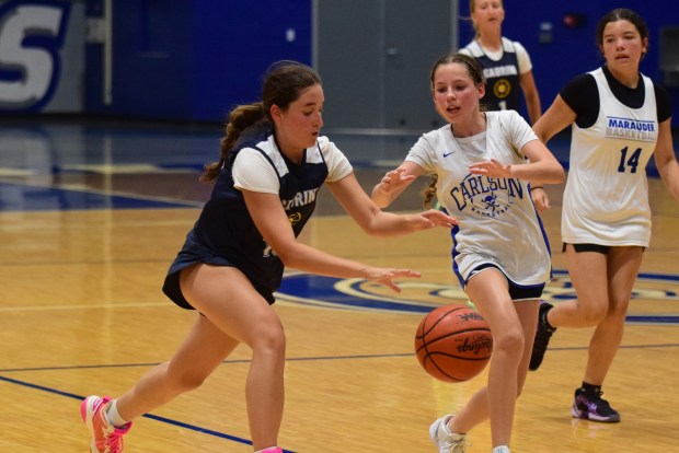The girls' basketball teams from Allen Park Cabrini and Gibraltar...