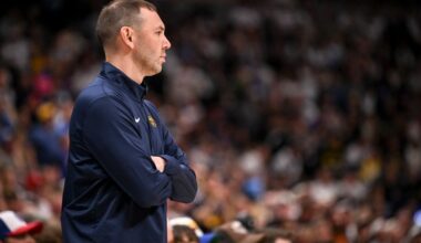 David Adelman has Nuggets roster Michael Malone always wanted