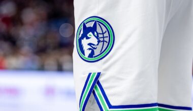 Detailed view of the Minnesota Timberwolves logo against the New Orleans Pelicans during the second half at the Smoothie King Center.