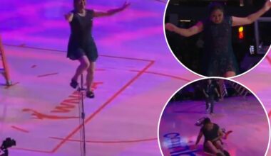 Red Panda taken off court in wheelchair after injury at Fever game