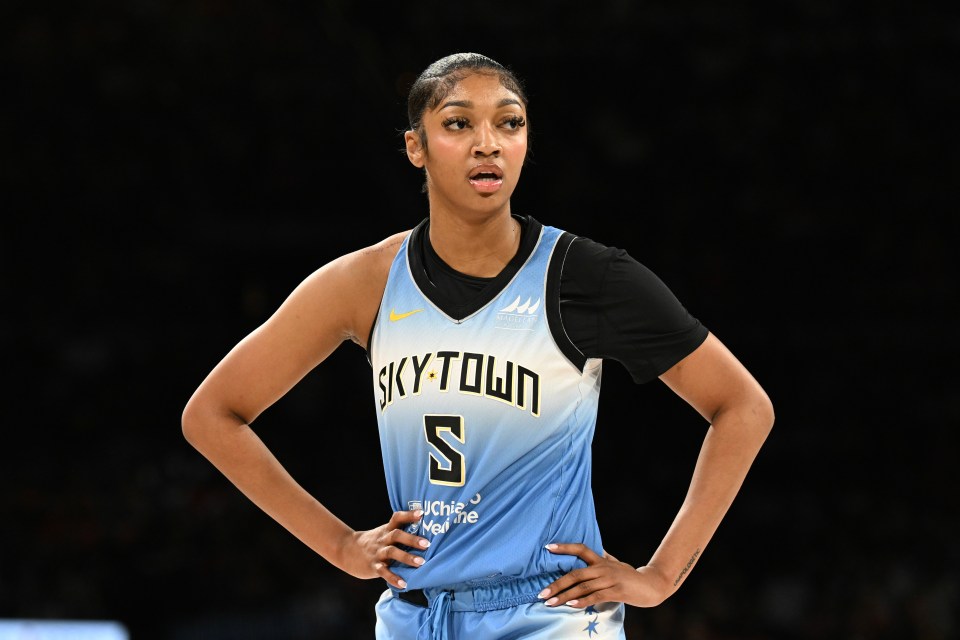 Reese has gone on to become a huge star in the WNBA, but still faces a lot of criticism