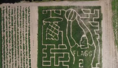 A corn maze in Maine pays tribute to Mavs rookie Cooper Flagg – NBC 5 Dallas-Fort Worth