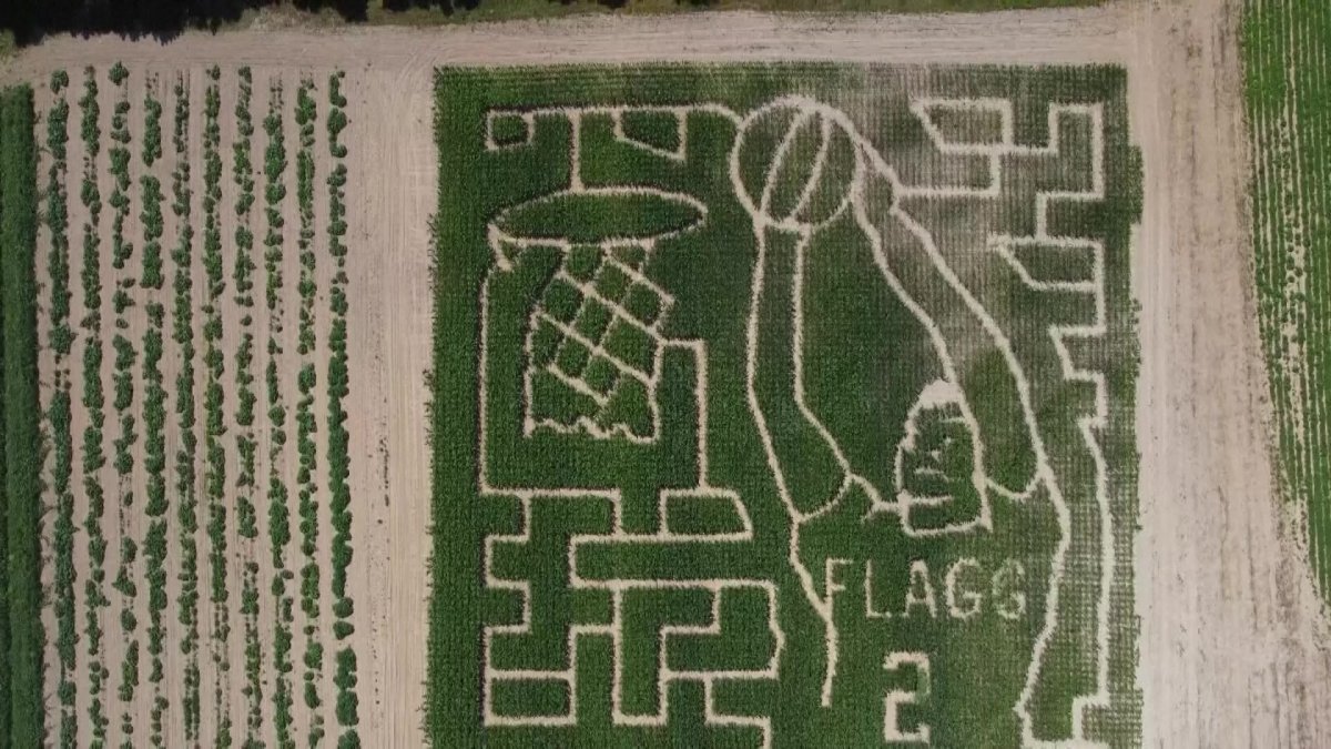 A corn maze in Maine pays tribute to Mavs rookie Cooper Flagg – NBC 5 Dallas-Fort Worth