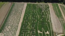 An overhead view of the corn maze honoring Cooper Flagg.