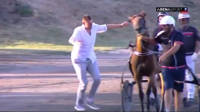 Nikola Jokic reacting emotionally after his horse wins a race.