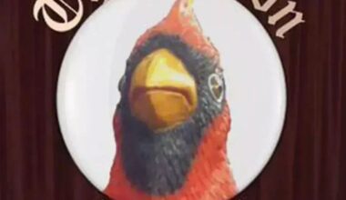 2024-25 LCPT Quarterfinals: ACC Football Officiating vs. Duke Basketball Twitter