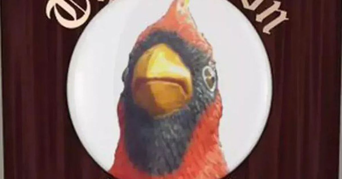 2024-25 LCPT Quarterfinals: ACC Football Officiating vs. Duke Basketball Twitter