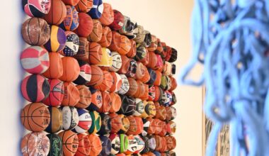 Michigan artist claims New Orleans Pelicans copied his work