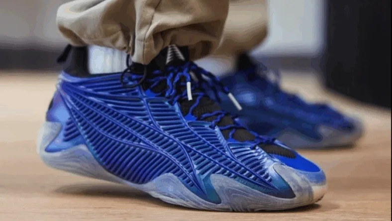 <span class="credit">Credit: HoopX Basketball</span>