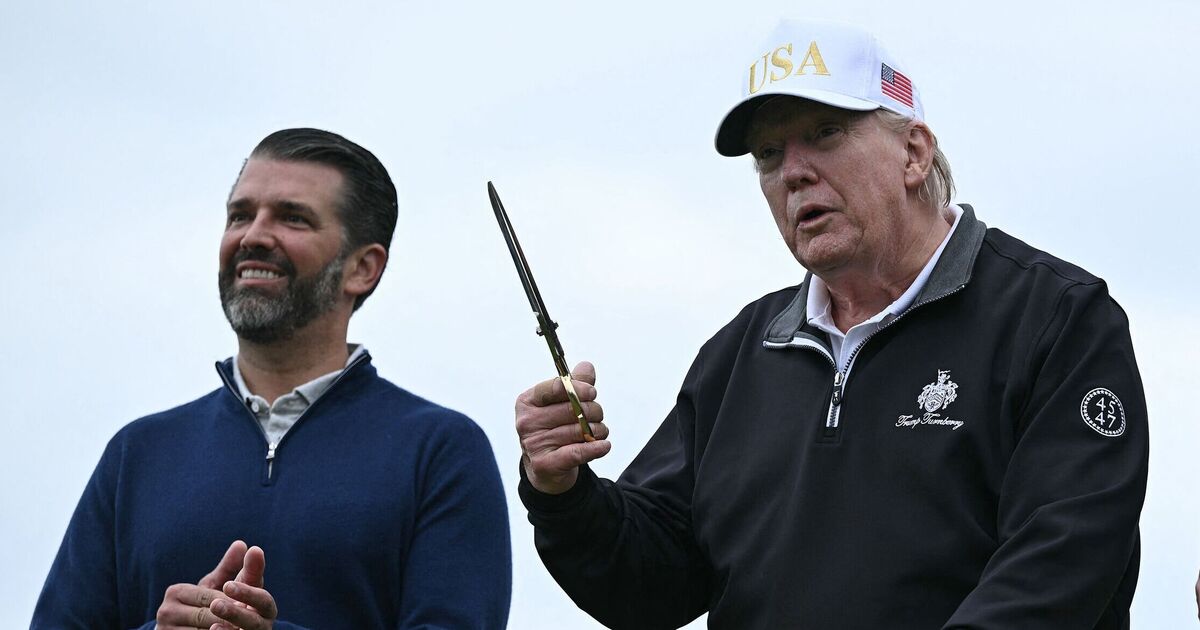 Donald Trump Jr shares ridiculous meme of President throwing adult toy - Basketball - Sports