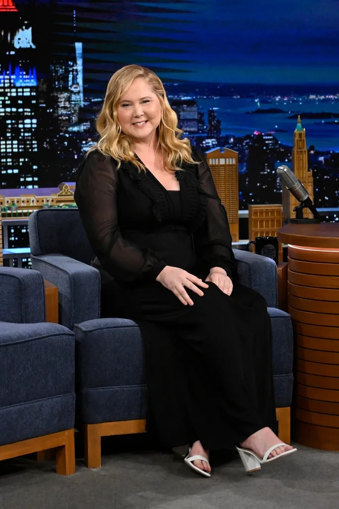 <p style="font-weight: 400;"><strong>Amy Schumer’s Cushing Syndrome</strong></p>