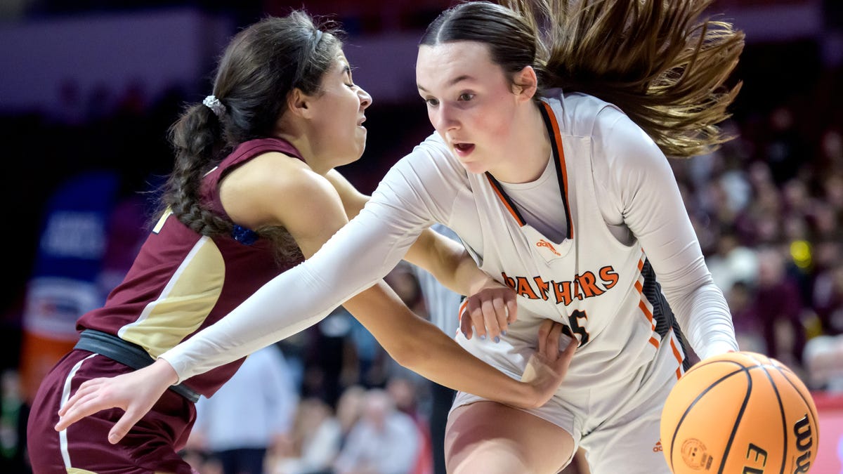 Washington, Illinois, all-stater Dani Guedet commits