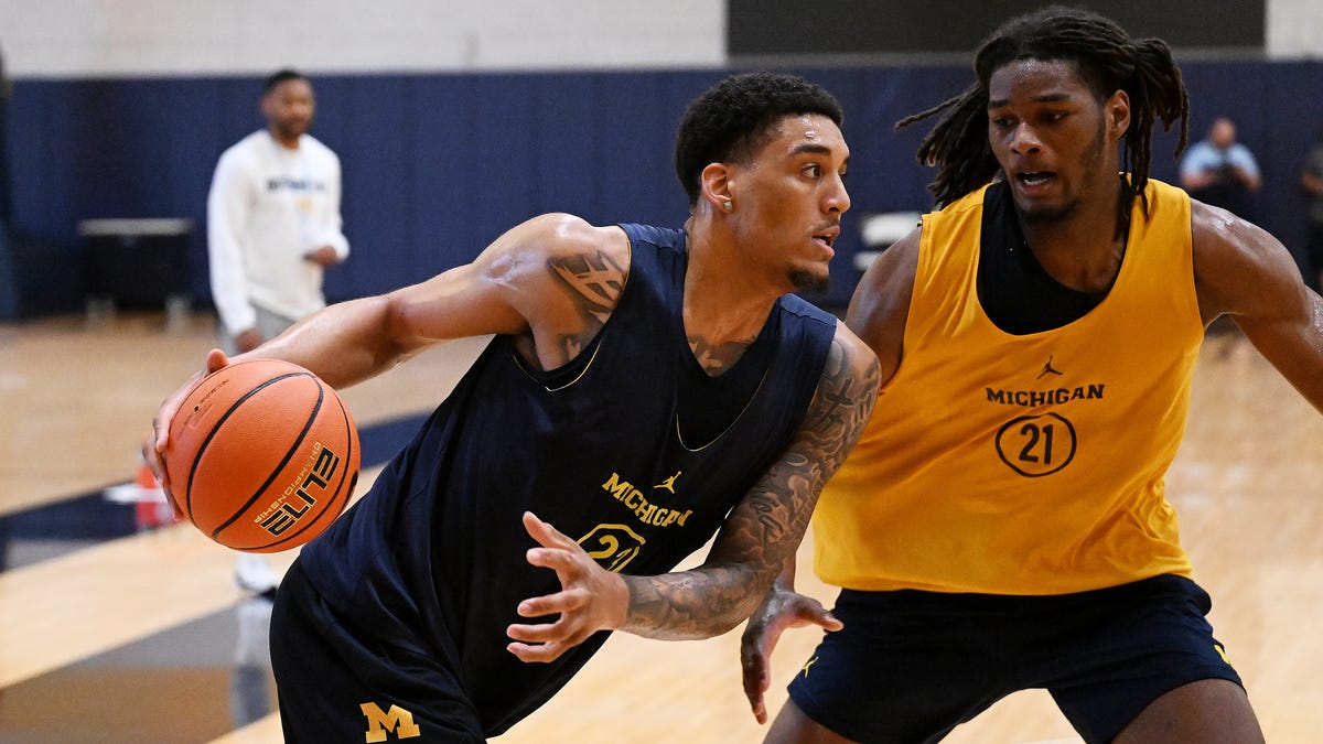 Michigan's Yaxel Lendeborg one of CBS Sports' 'splashiest' newcomers