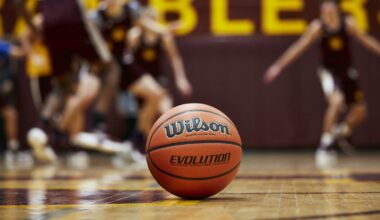 Wilson Evolution Official Game Basketball