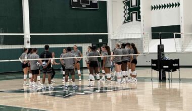 Aloha State Daily logo