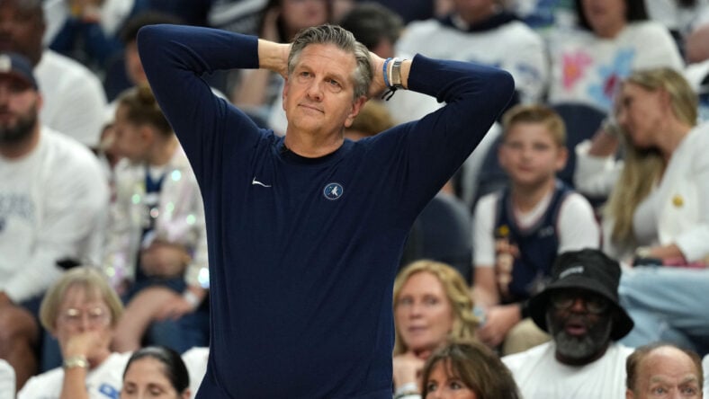 Chris Finch, Minnesota Timberwolves