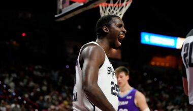 David Jones-Garcia throws punch in brawl between the Dominican Republic and Argentina