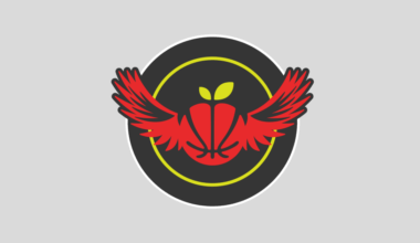 Welcome to the new Peachtree Hoops: A fresh look, fewer ads and a new feature