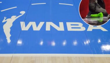 Fan arrested for throwing sex toy on court during WNBA game