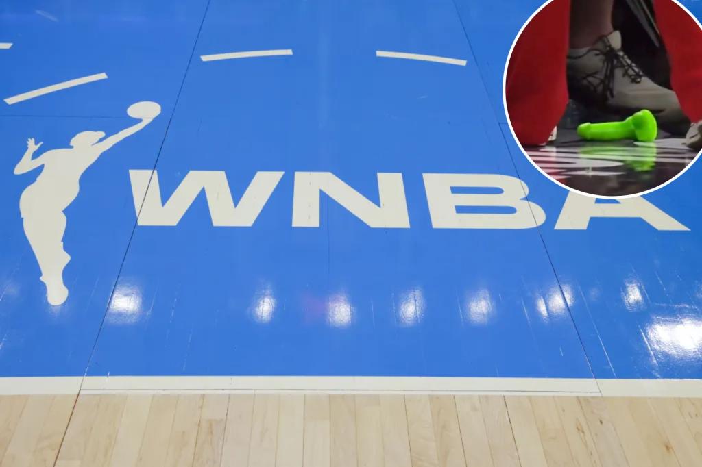 Fan arrested for throwing sex toy on court during WNBA game
