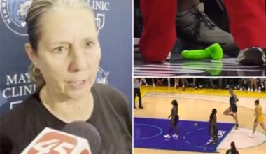 Cheryl Reeve calls for action over sex toys being thrown on court at WNBA games
