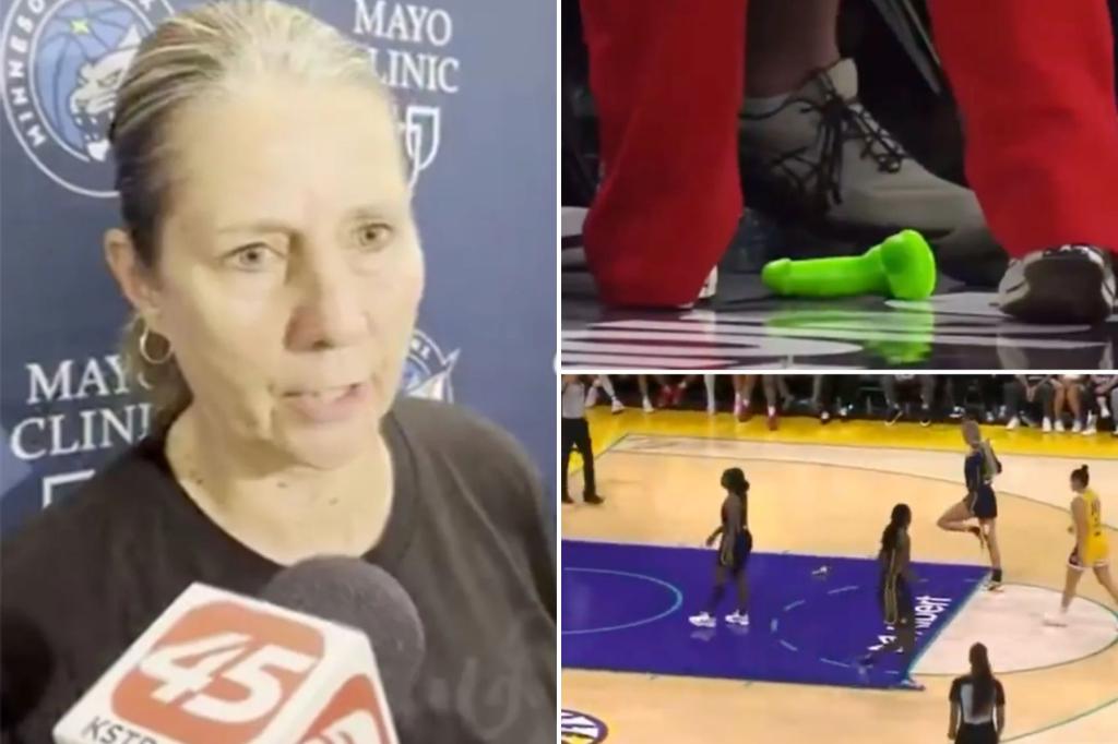 Cheryl Reeve calls for action over sex toys being thrown on court at WNBA games