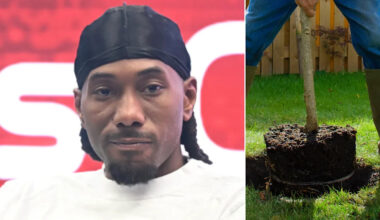 Yahoo entertainment home