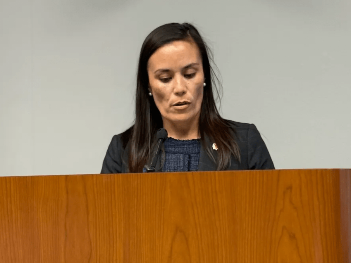 San Antonio council members say mayor killed anti-pet dumping ordinance over petty politics