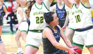 NMU women’s basketball brings back Mueller as ass’t coach | News, Sports, Jobs