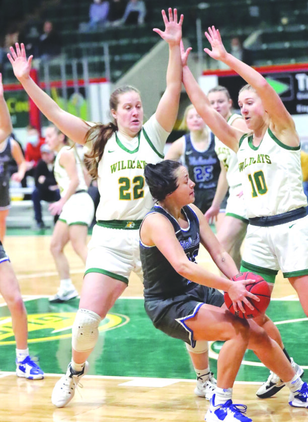 NMU women’s basketball brings back Mueller as ass’t coach | News, Sports, Jobs